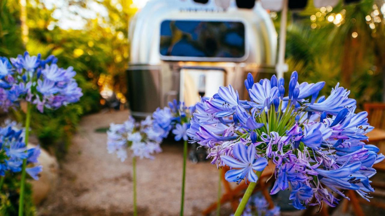 Caravan Outpost Ojai Exterior photo